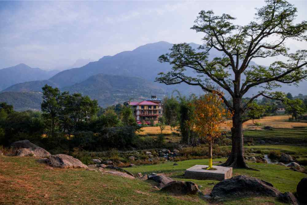 Palampur HImachal