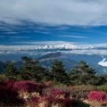 Sandakphu: The Majestic Trek to the Roof of West Bengal