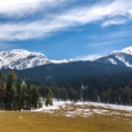 Pahalgam Travel Guide
